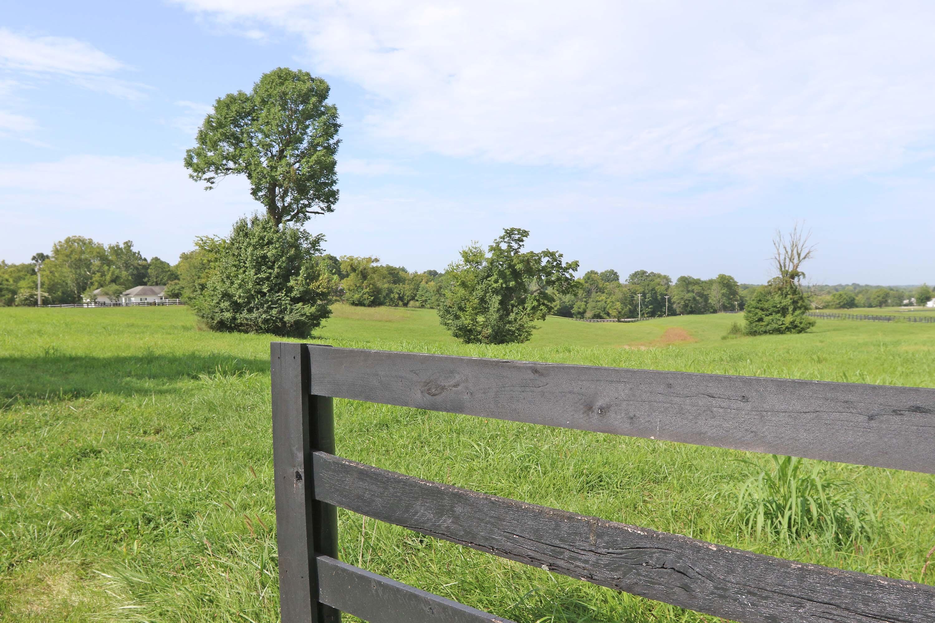 1107 Equestrian Lakes Lane Property Photo 23