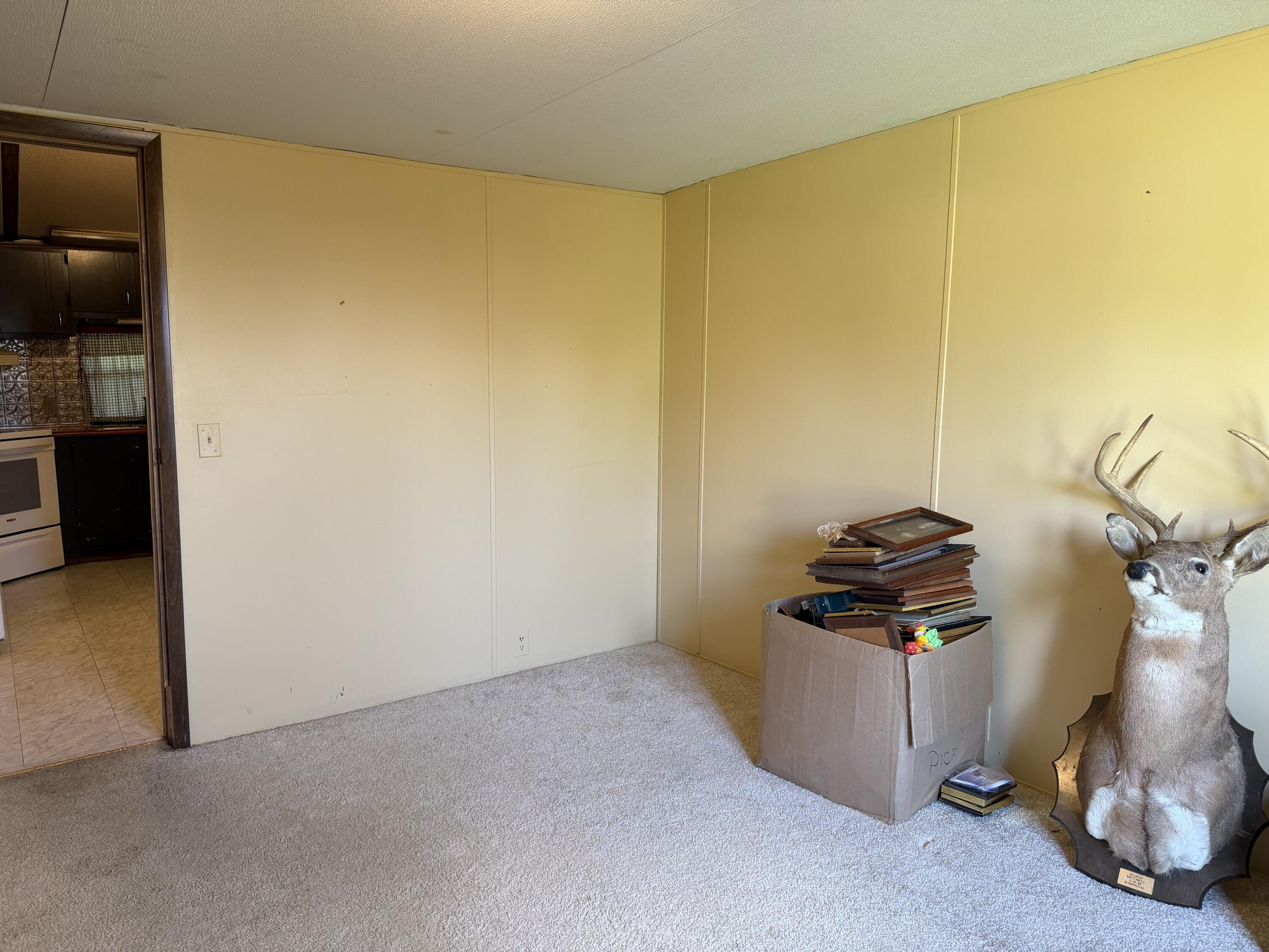 1567 Ky-339 Property Photo 20