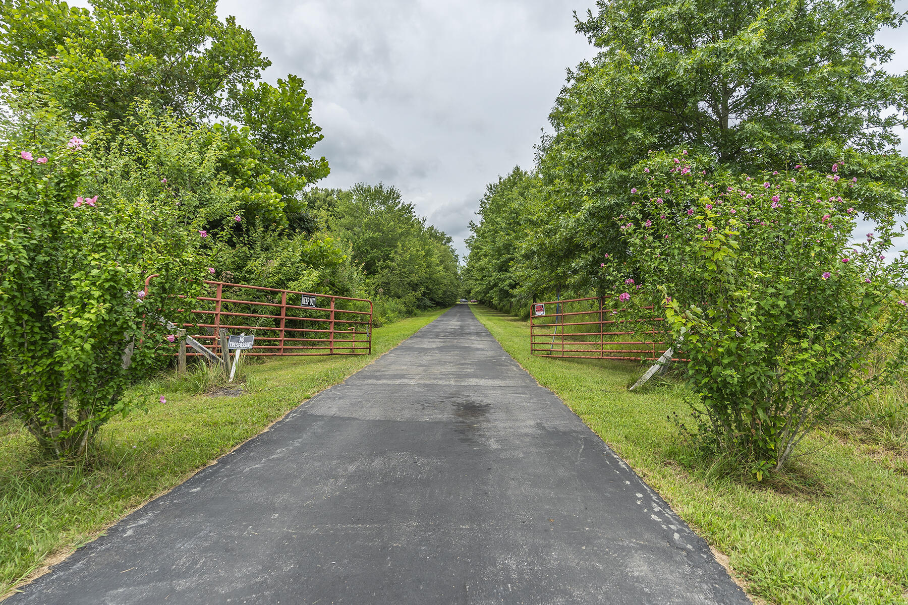 245 Ky Hwy 1050 Property Photo 44