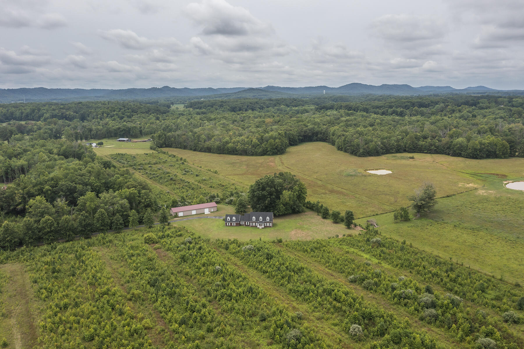 245 Ky Hwy 1050 Property Photo 47