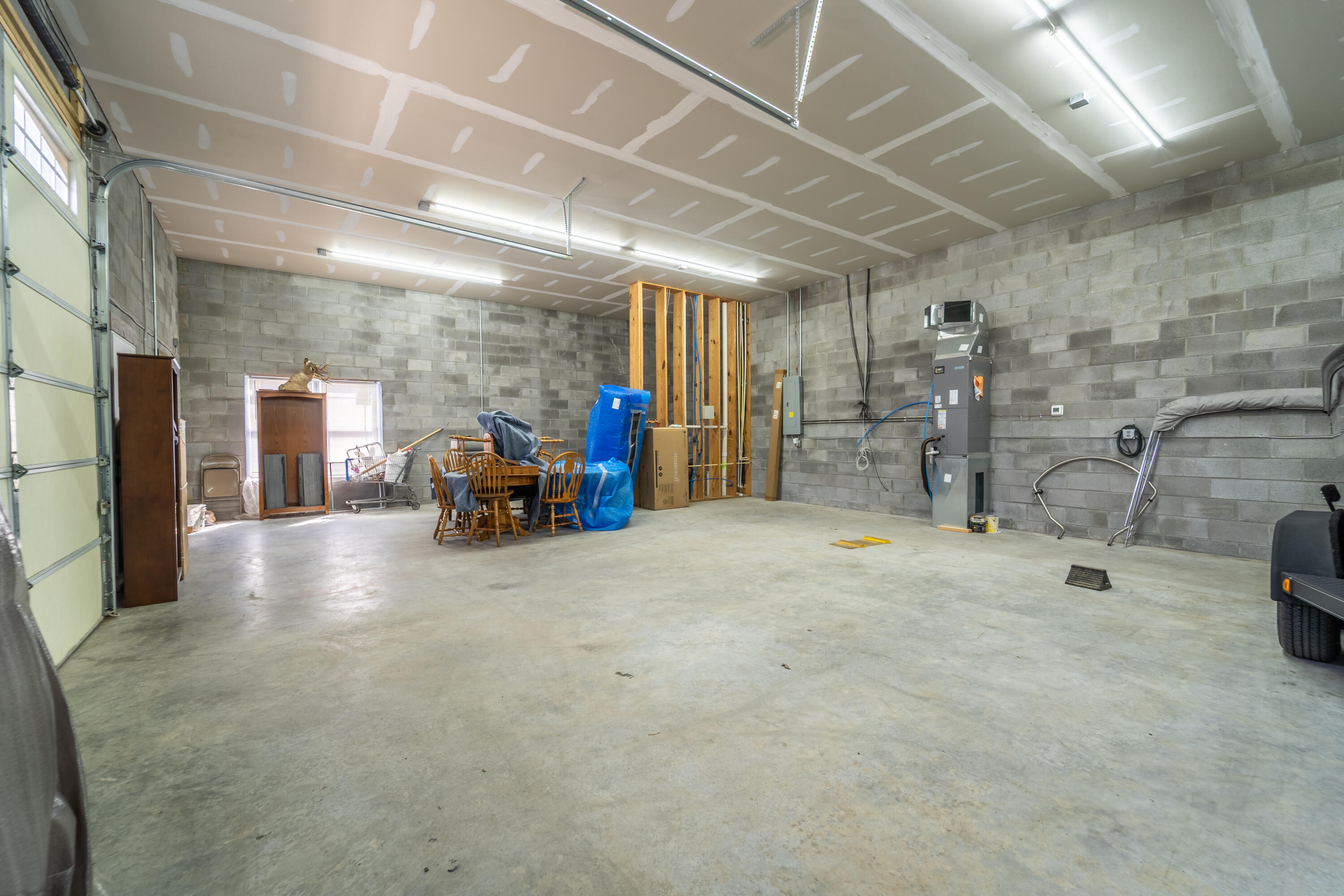 113 Lester Street Property Photo 5