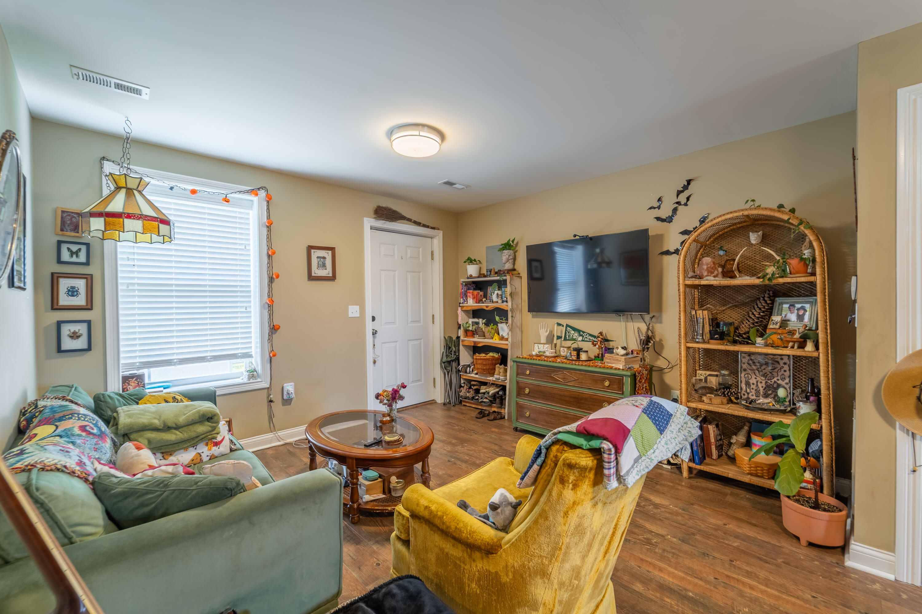 113 Lester Street Property Photo 7