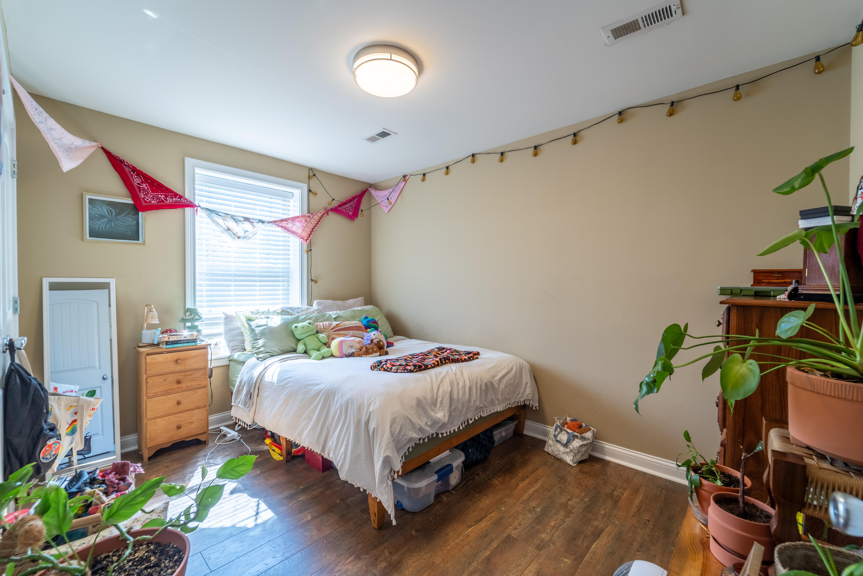 113 Lester Street Property Photo 12