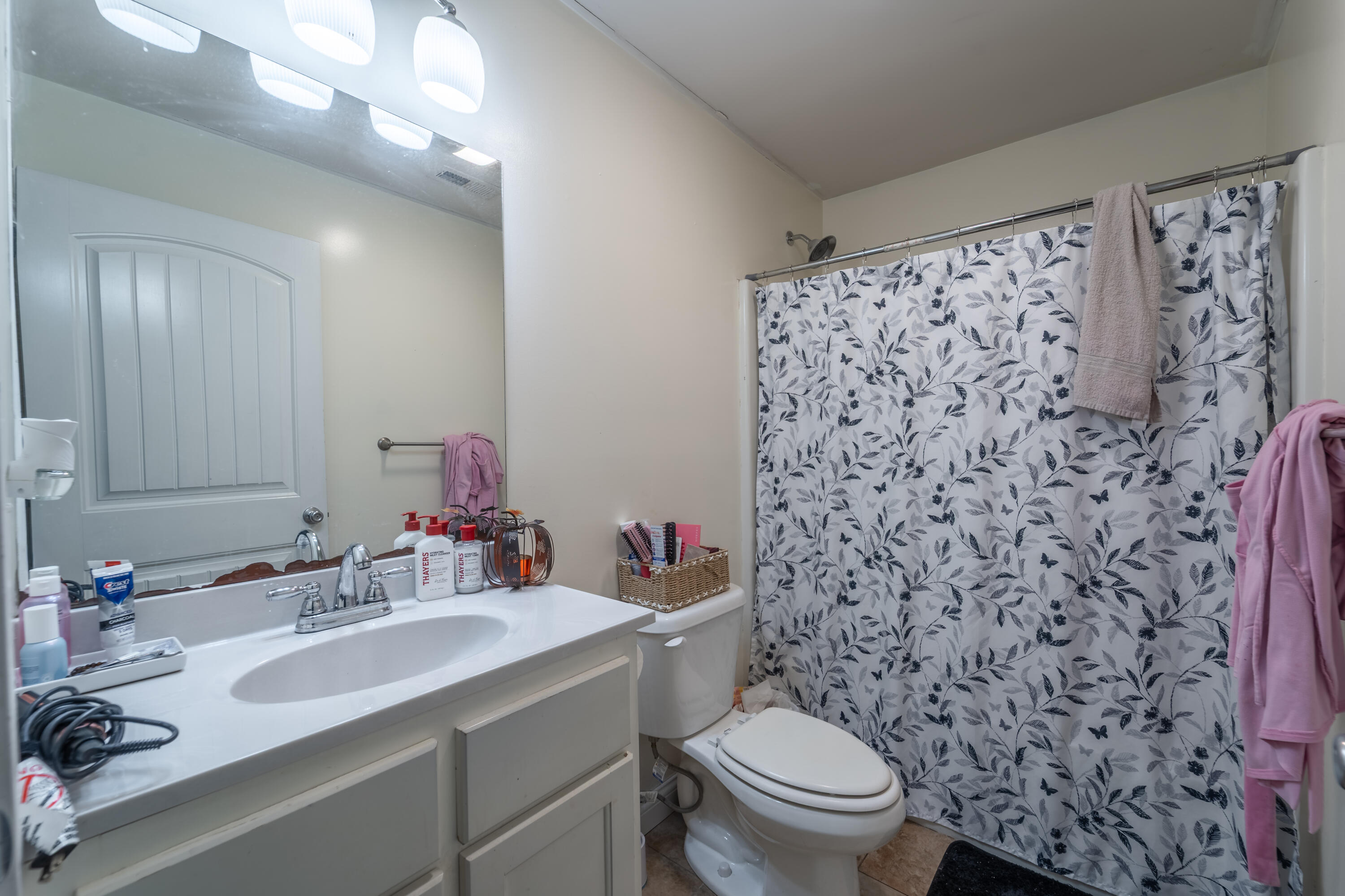 113 Lester Street Property Photo 24