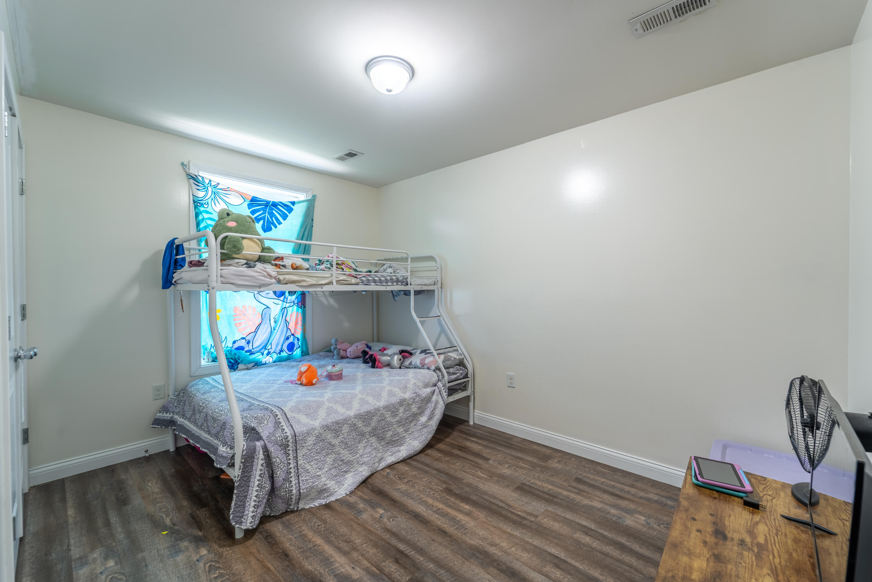 113 Lester Street Property Photo 25