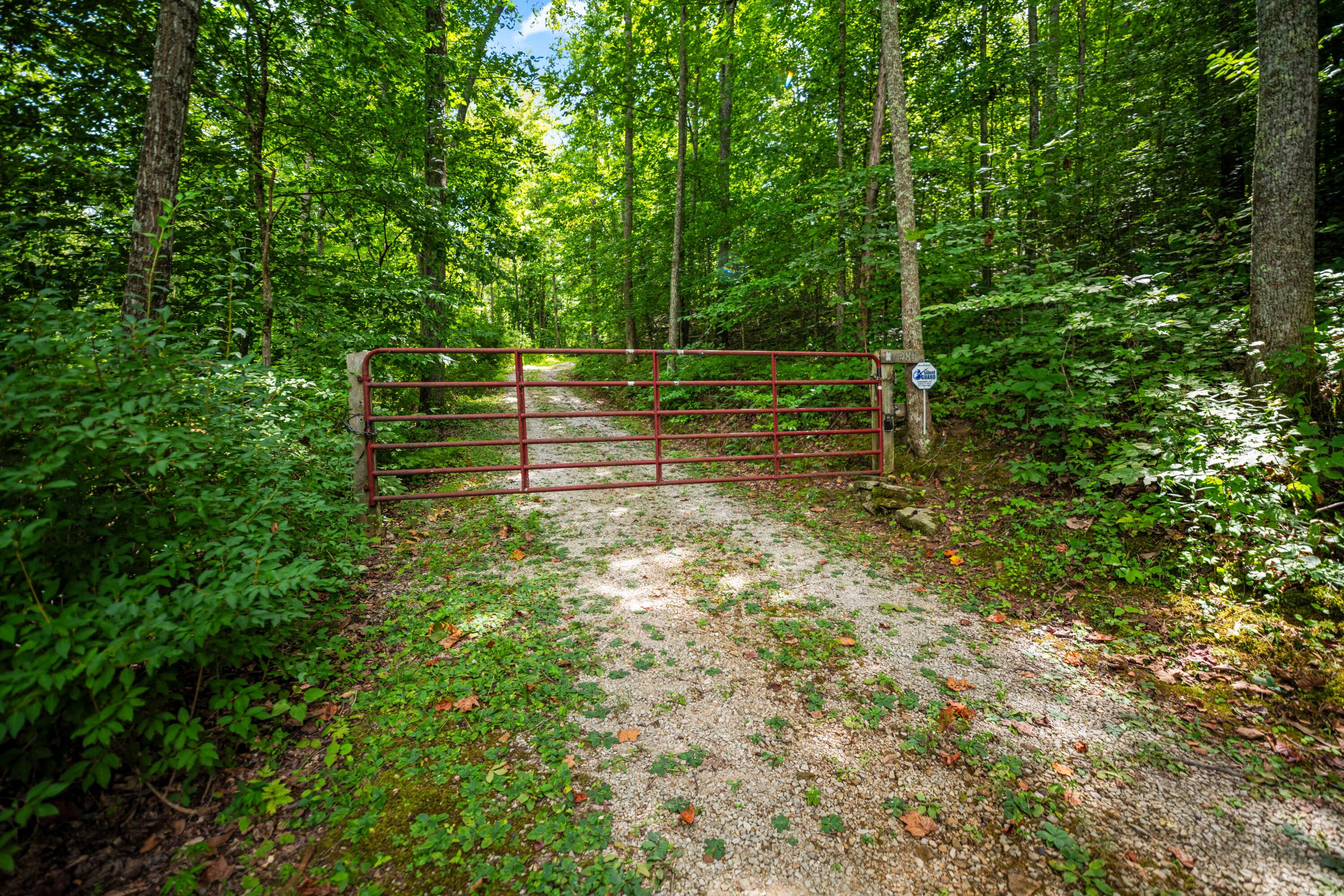 480 Phillips Hollow Road Property Photo 6