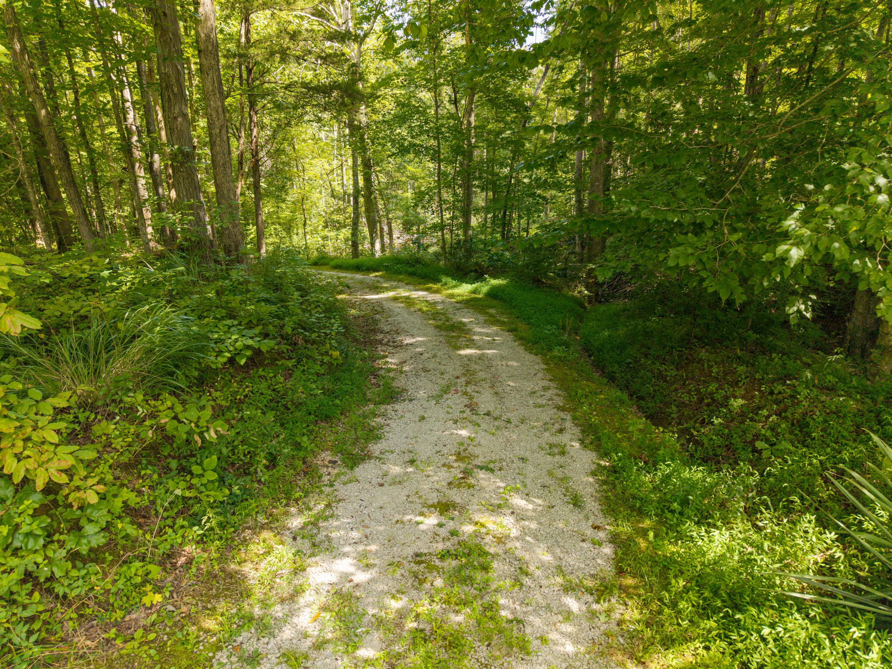 480 Phillips Hollow Road Property Photo 7