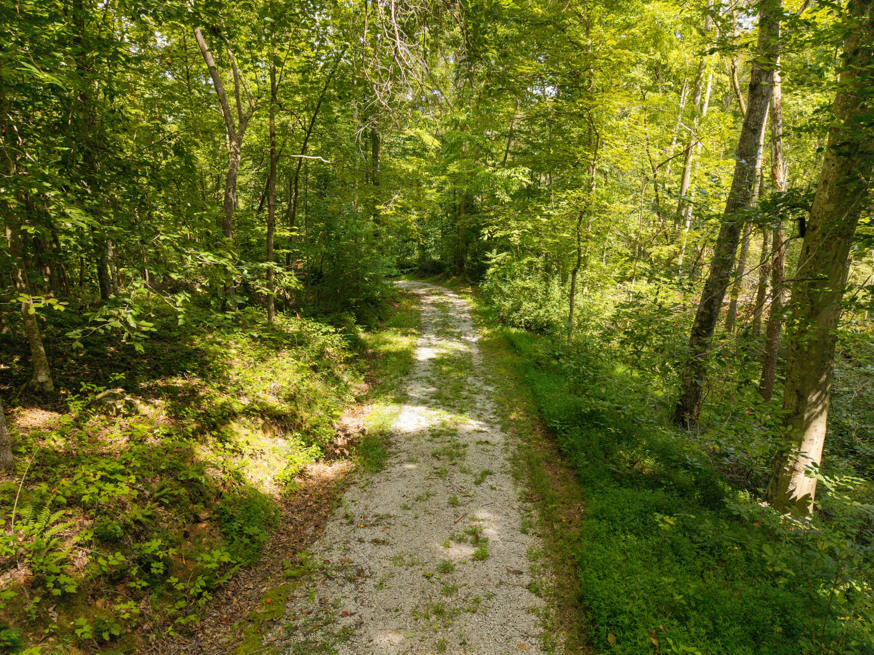 480 Phillips Hollow Road Property Photo 8