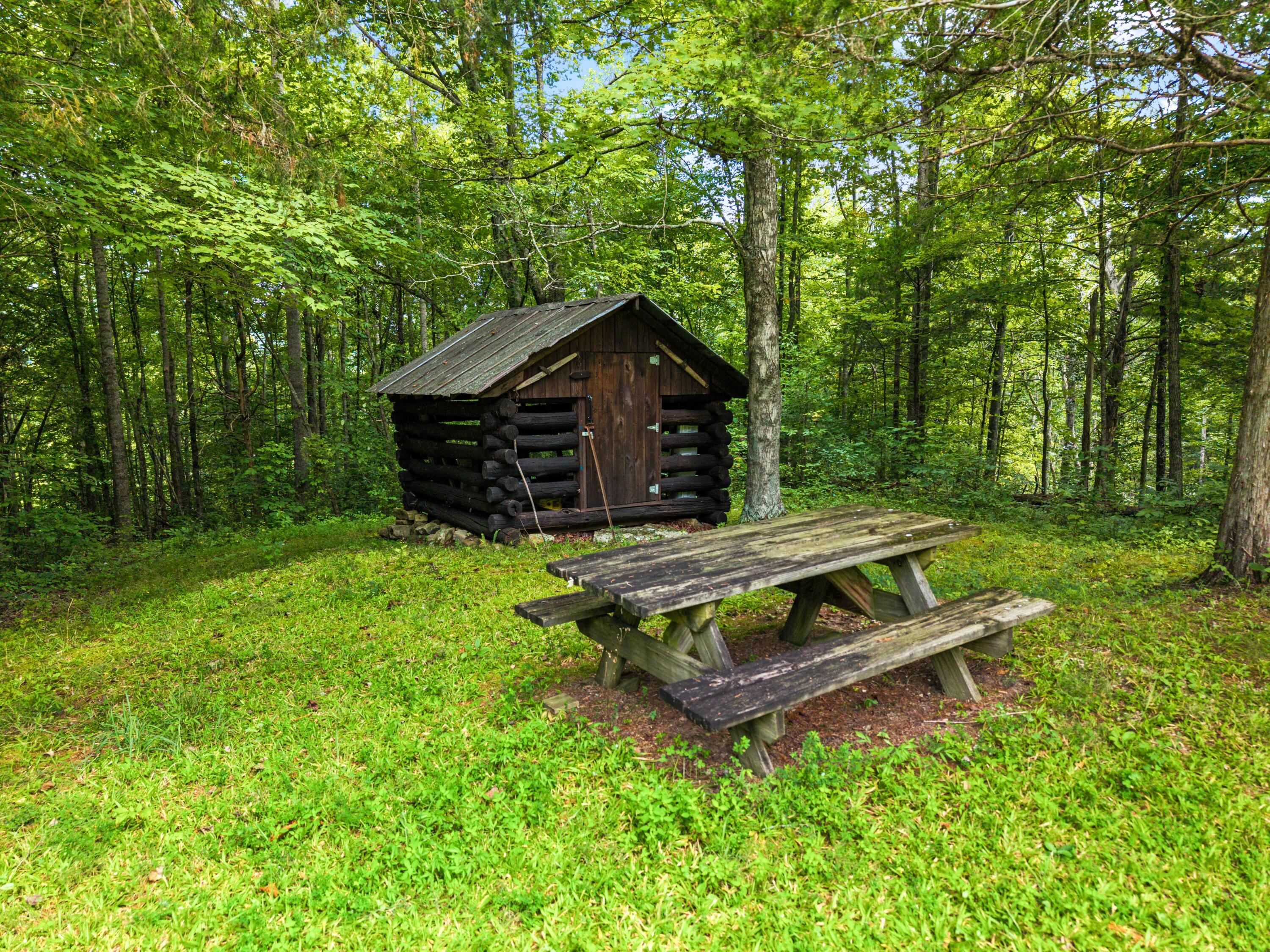 480 Phillips Hollow Road Property Photo 15