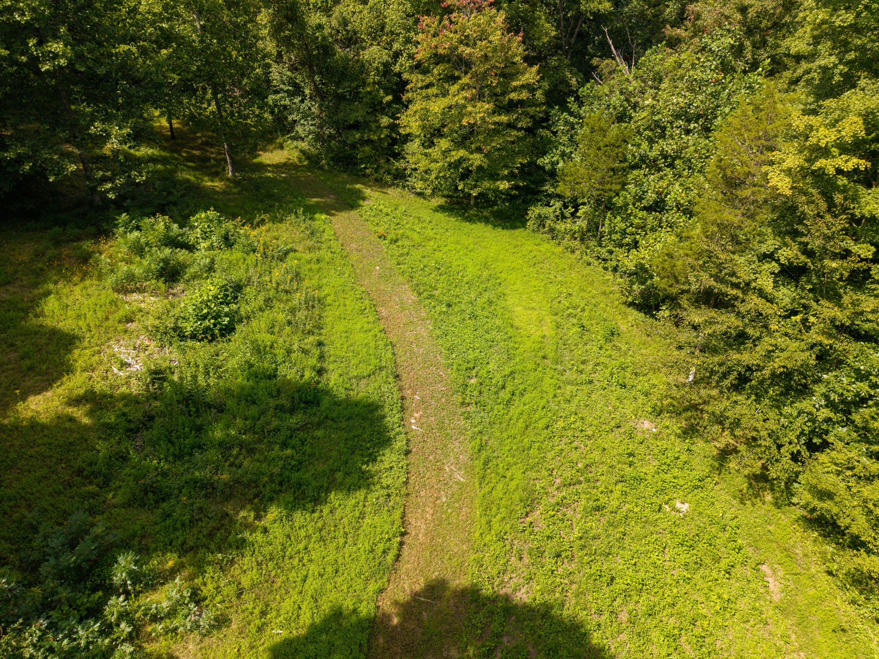 480 Phillips Hollow Road Property Photo 21