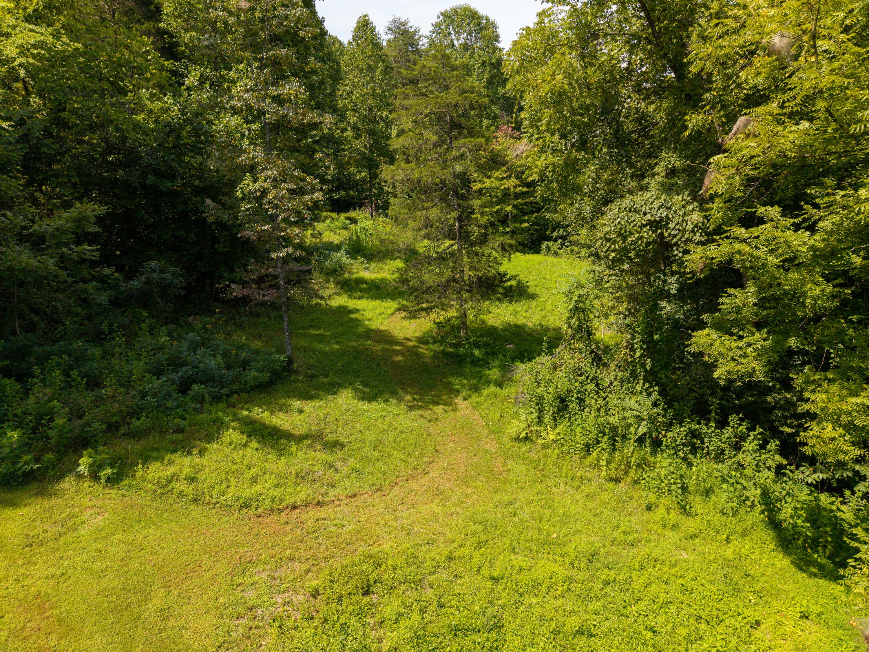 480 Phillips Hollow Road Property Photo 22