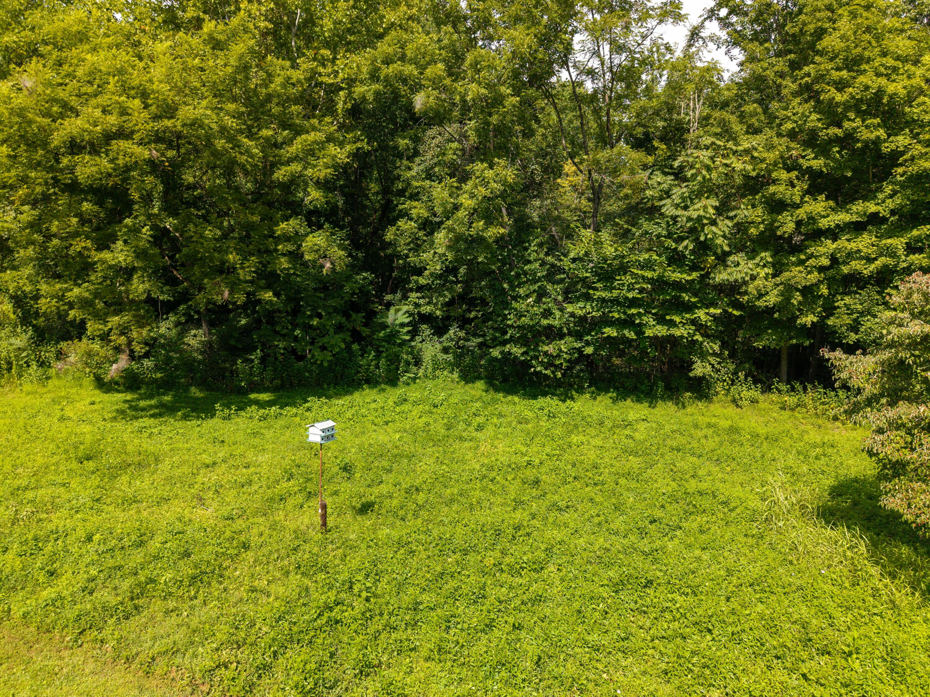 480 Phillips Hollow Road Property Photo 23