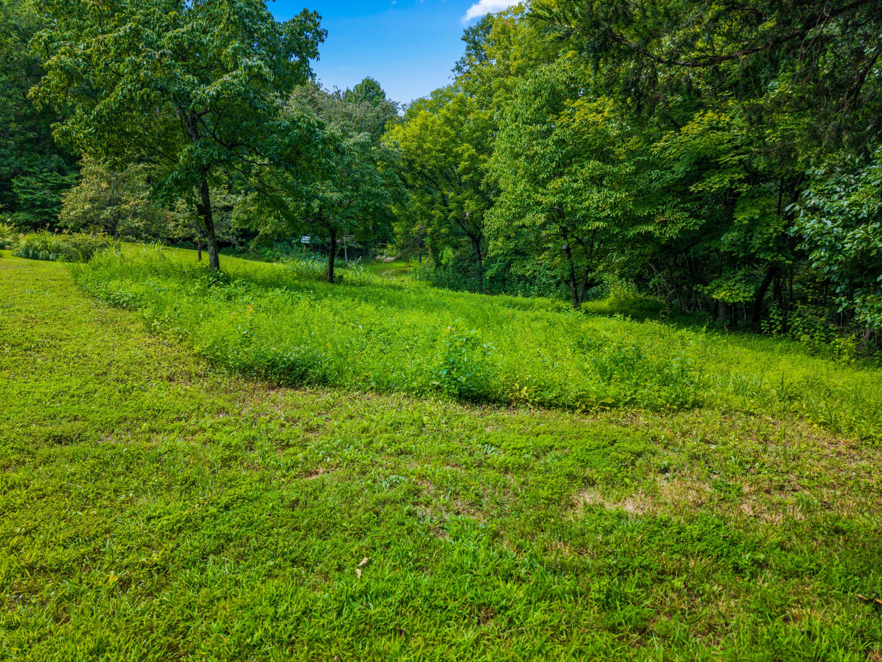 480 Phillips Hollow Road Property Photo 24