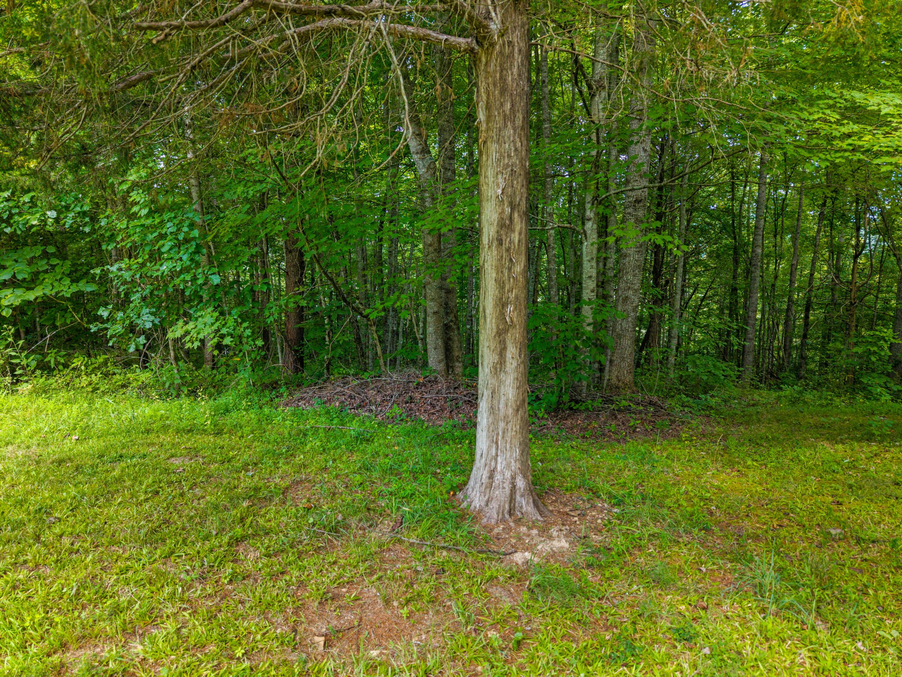 480 Phillips Hollow Road Property Photo 25