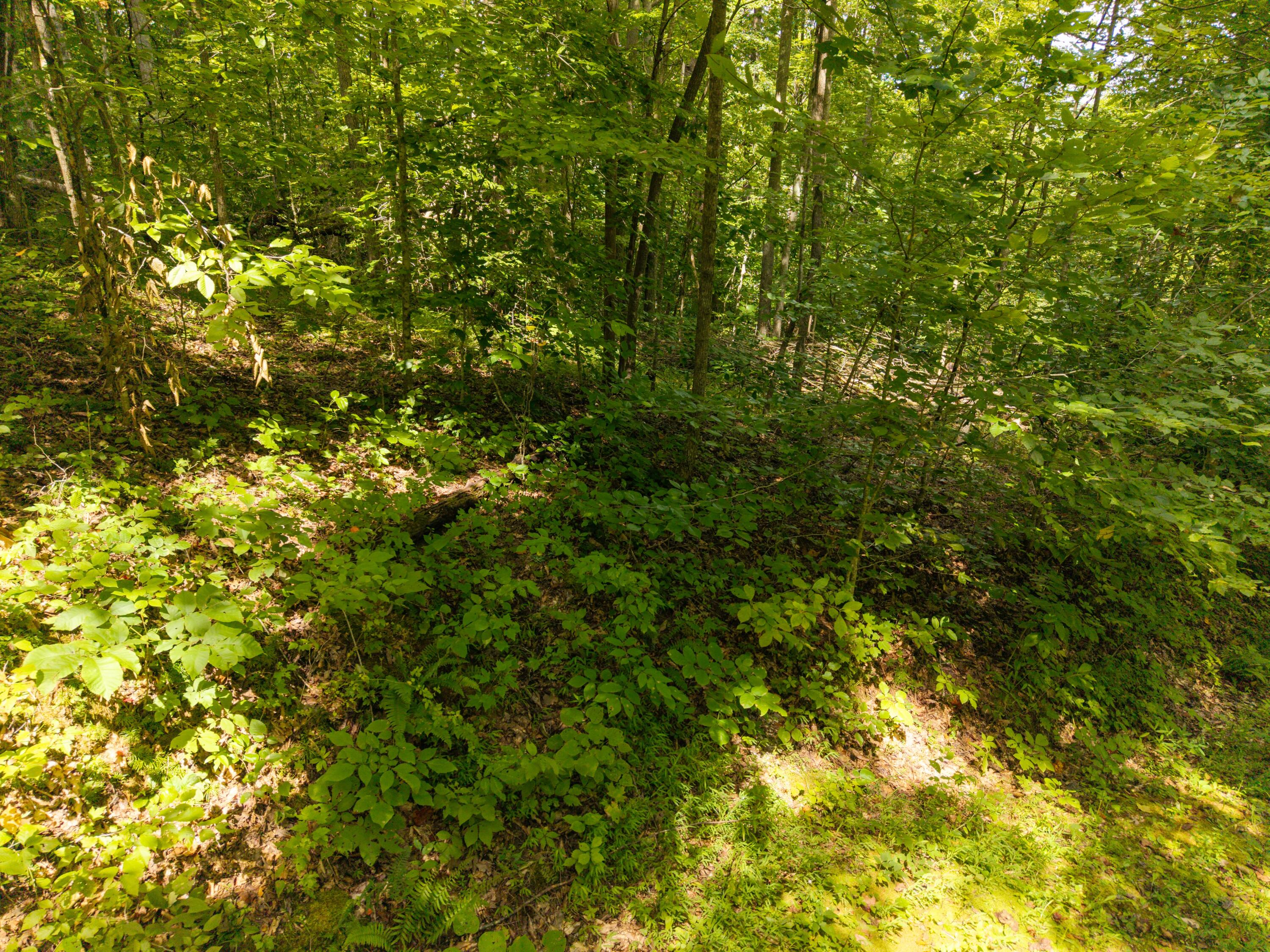 480 Phillips Hollow Road Property Photo 30
