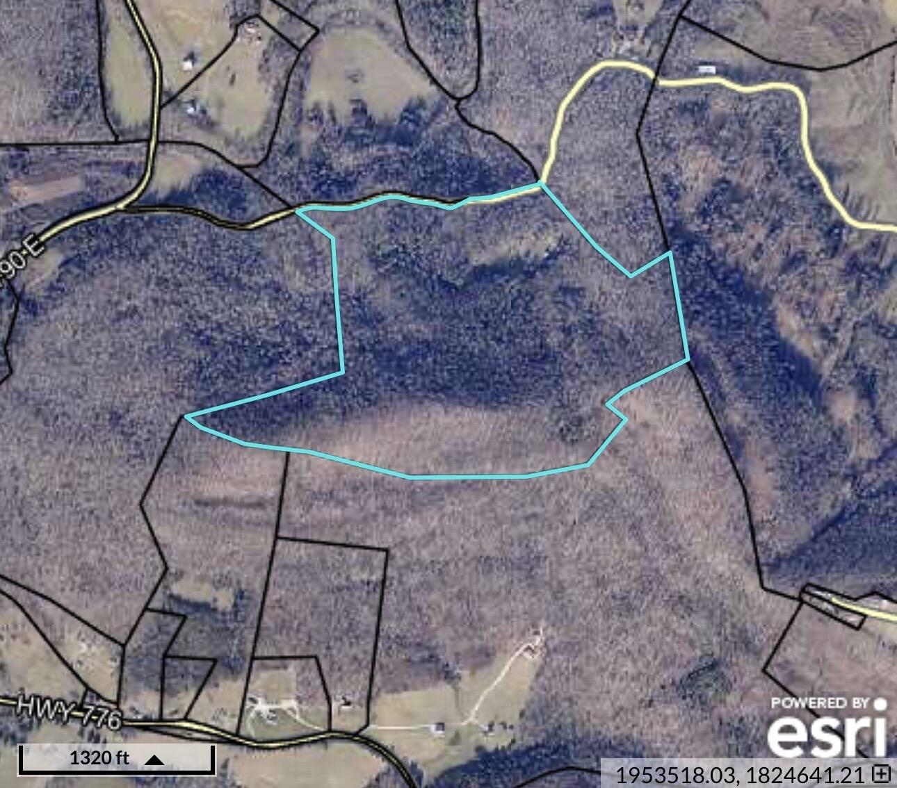 480 Phillips Hollow Road Property Photo 33