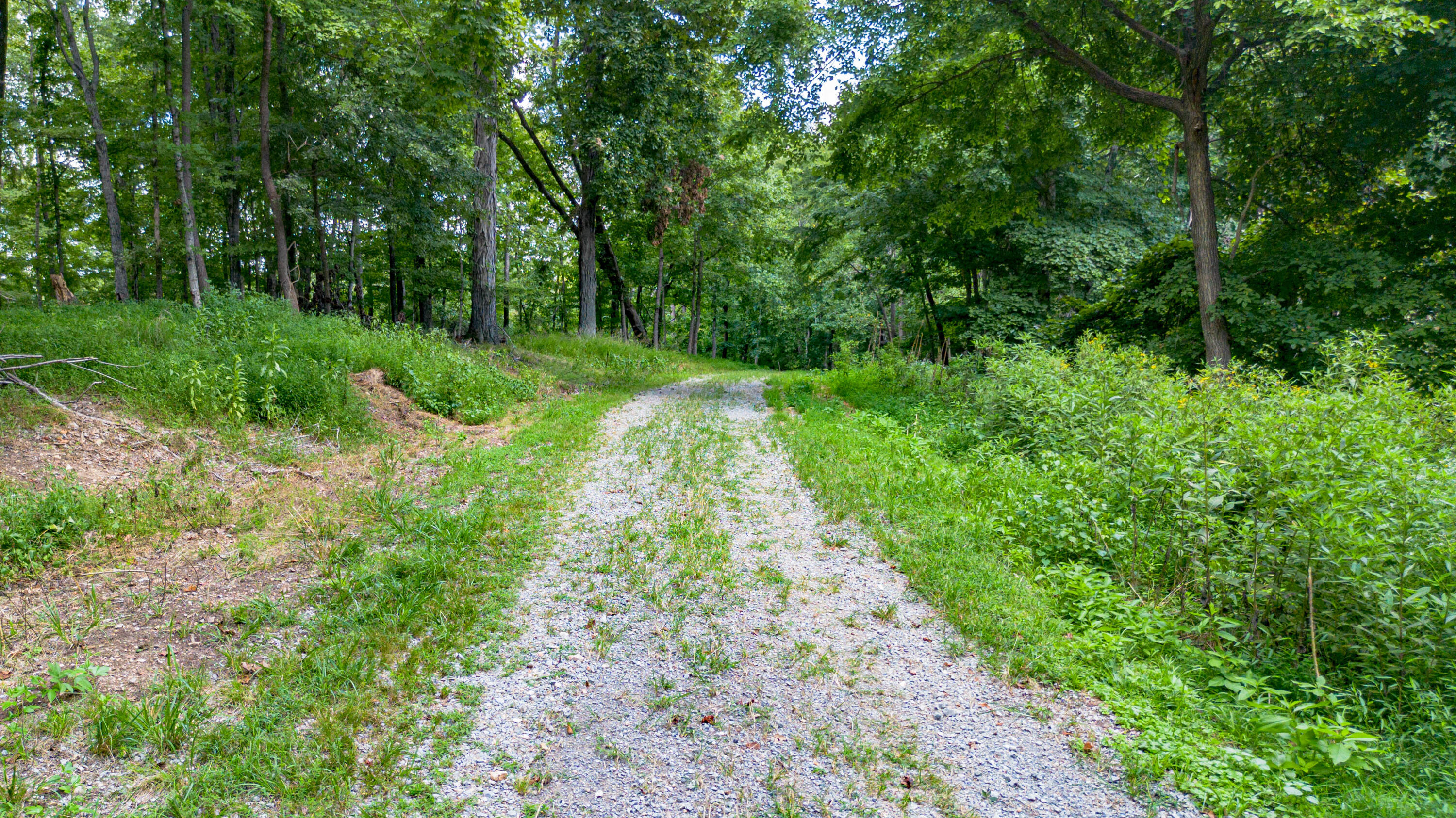 354 Ralph Beatty Road Property Photo 28