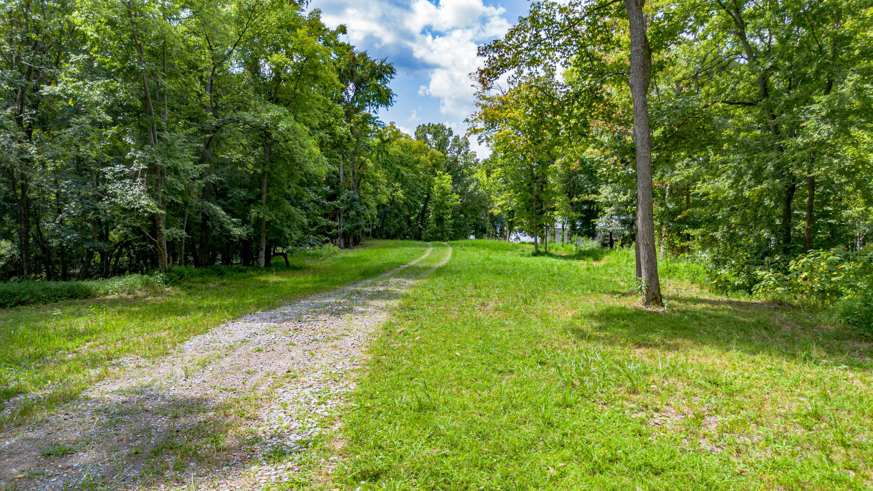 354 Ralph Beatty Road Property Photo 29