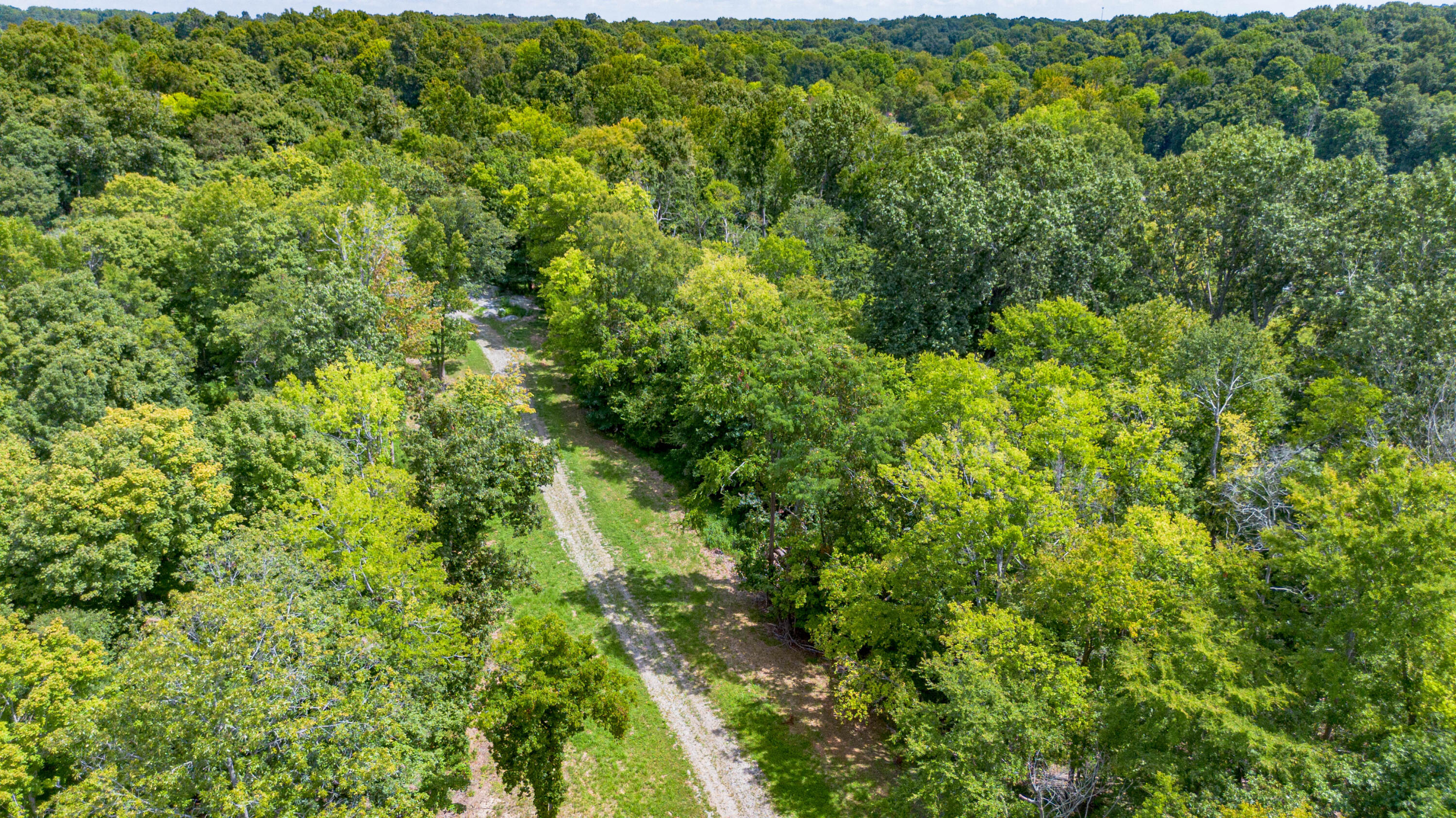 354 Ralph Beatty Road Property Photo 30