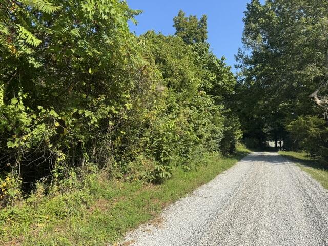 358 Tom Taylor Road Property Photo 1