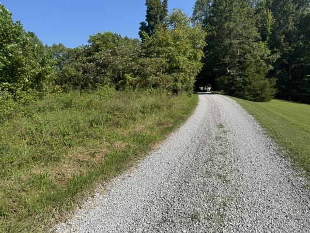 358 Tom Taylor Road Property Photo 3
