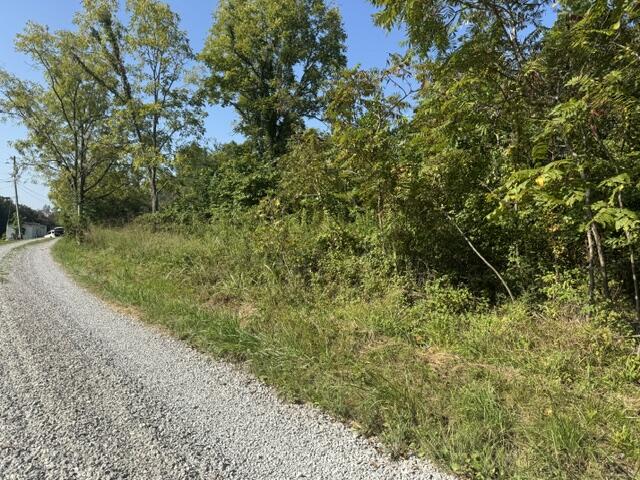 358 Tom Taylor Road Property Photo 4