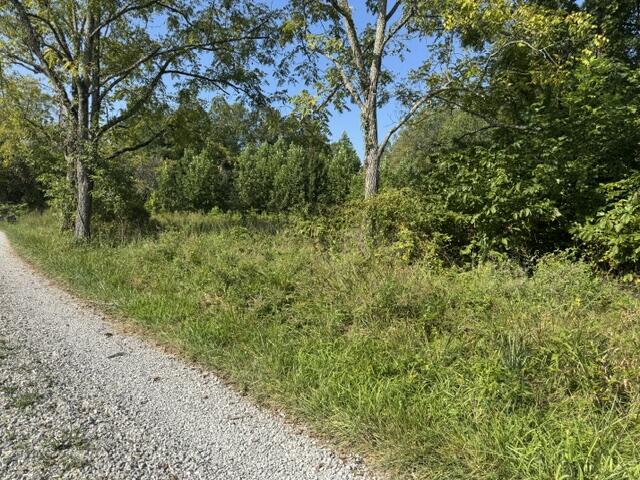 358 Tom Taylor Road Property Photo 5