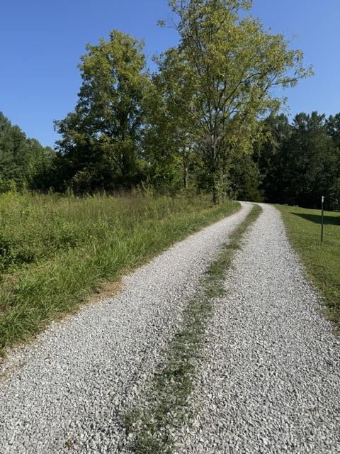 358 Tom Taylor Road Property Photo 6