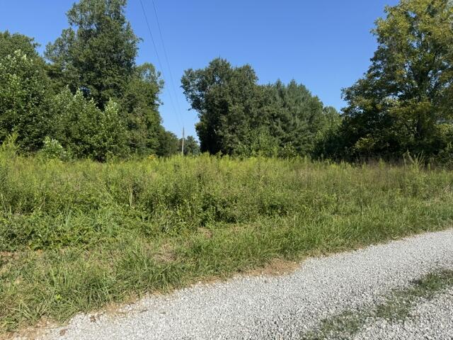 358 Tom Taylor Road Property Photo 7