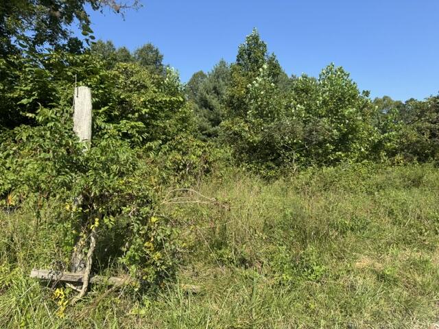 358 Tom Taylor Road Property Photo 8