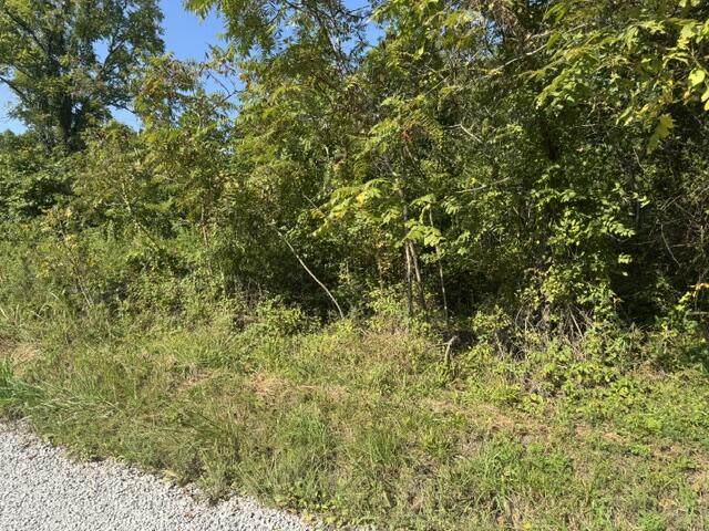358 Tom Taylor Road Property Photo 9