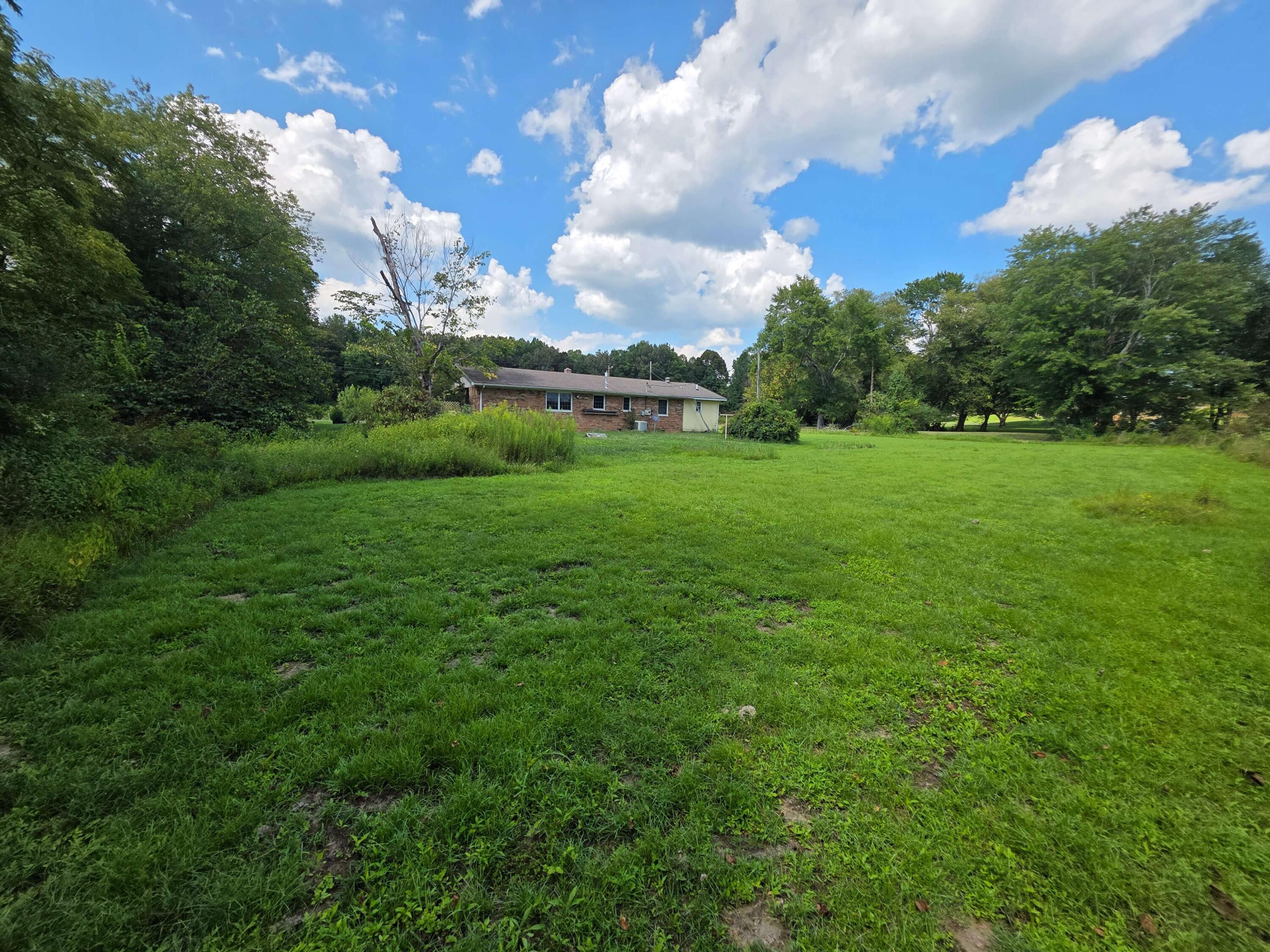 127 Clayton Road Property Photo 12
