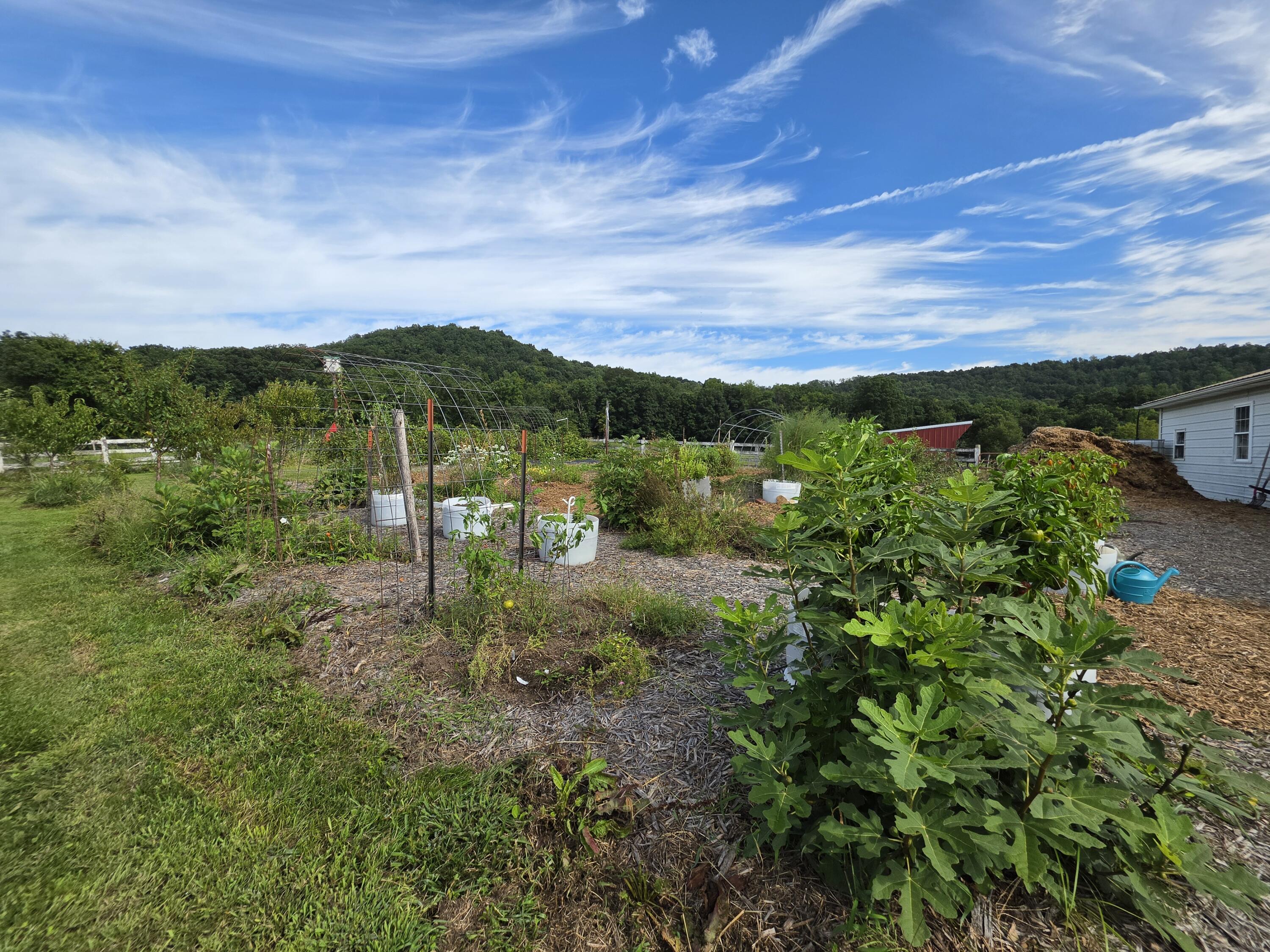 1665 Parker Road Property Photo 77
