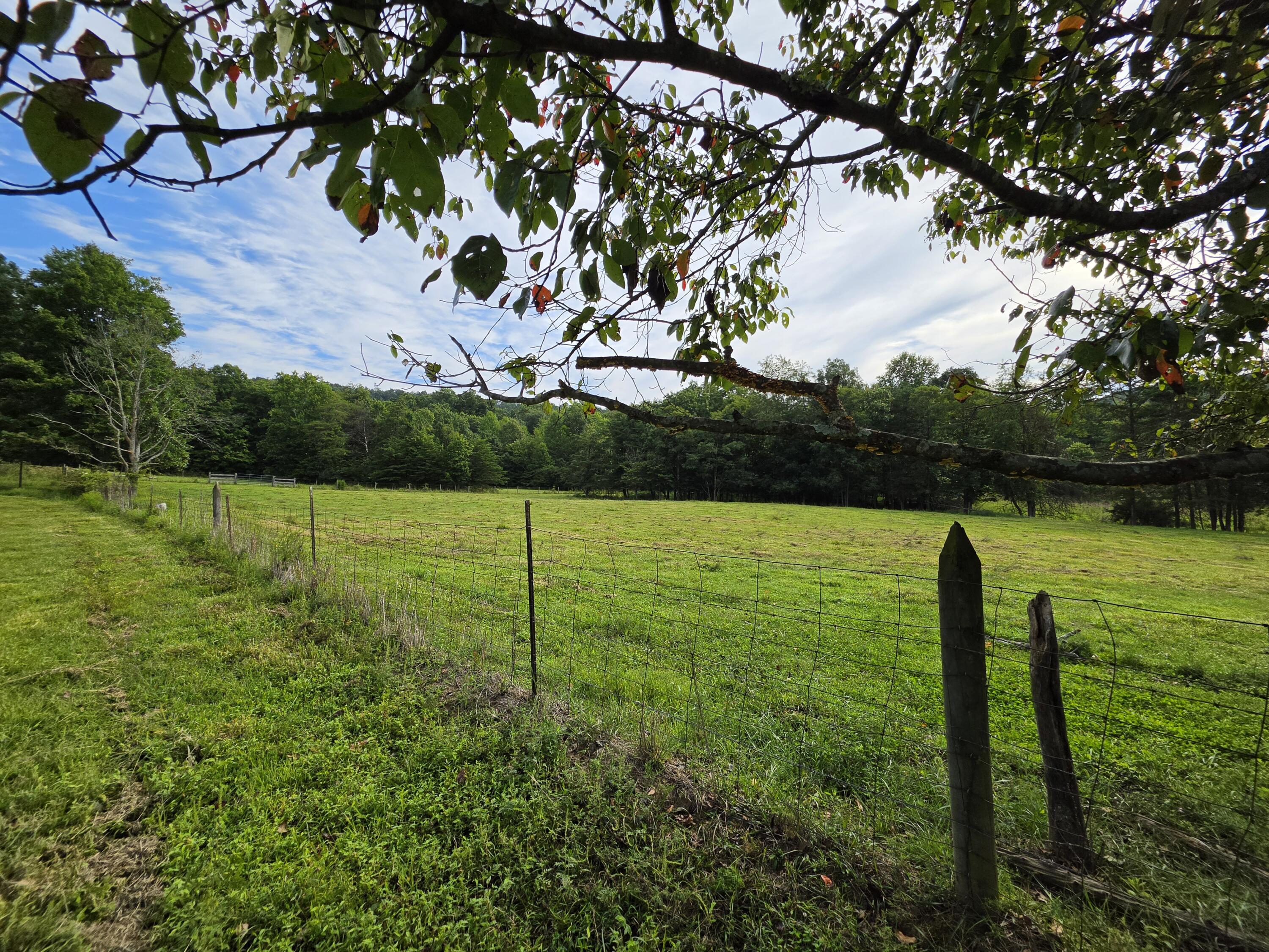 1665 Parker Road Property Photo 83