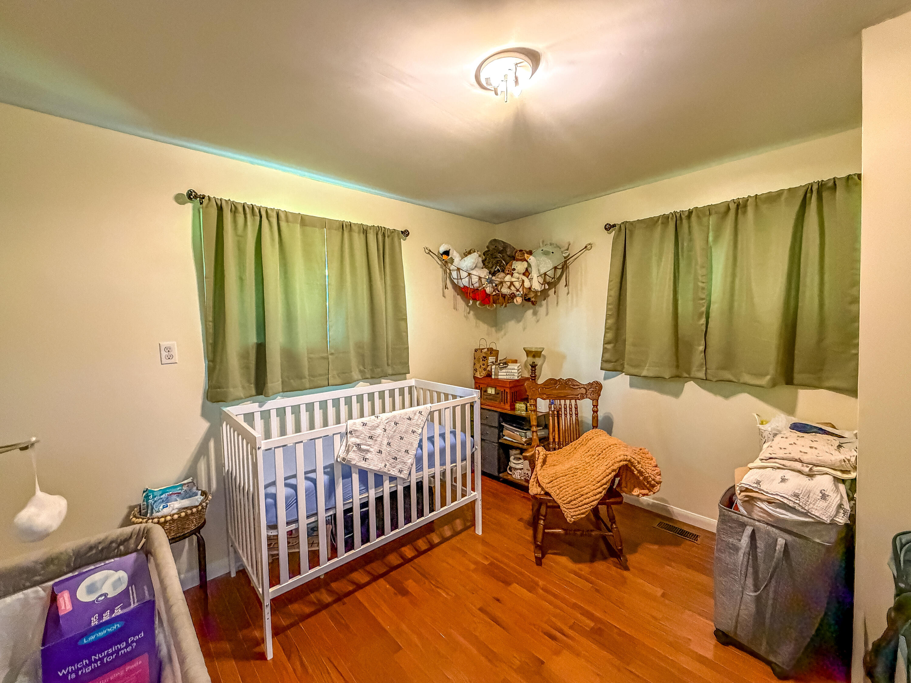 37 Renee Street Property Photo 29