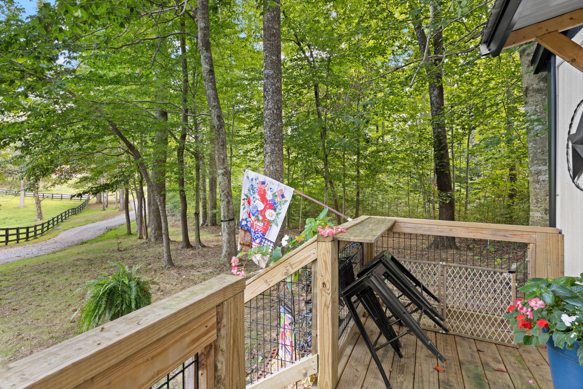 267 Cape Road Property Photo 6