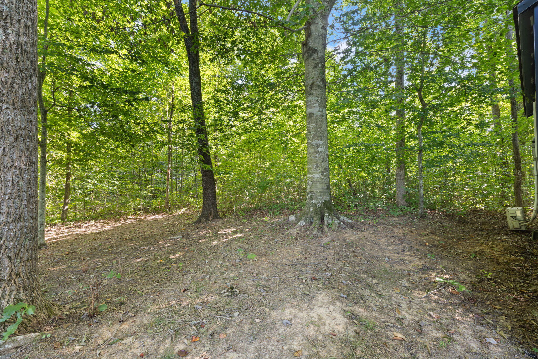 267 Cape Road Property Photo 14