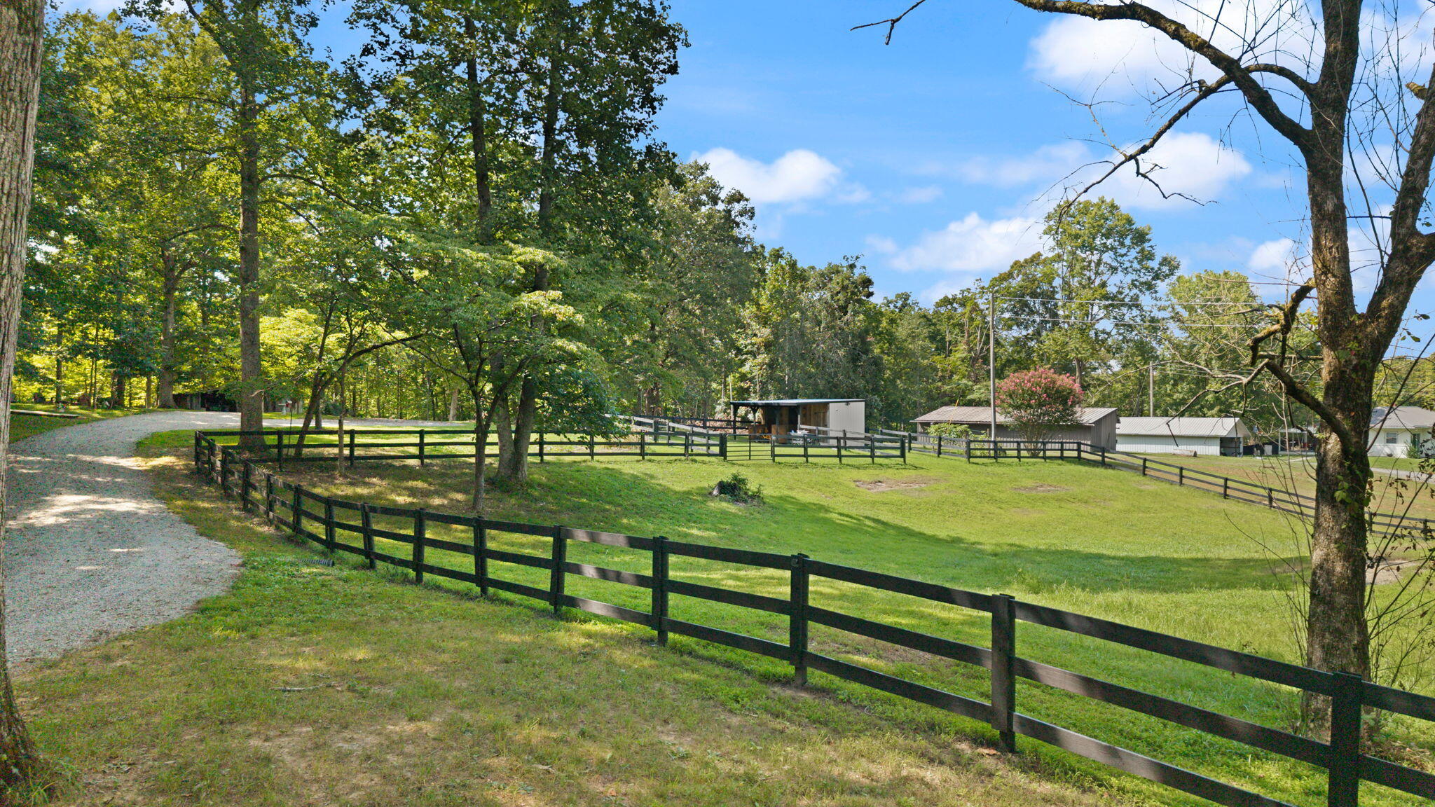 267 Cape Road Property Photo 15