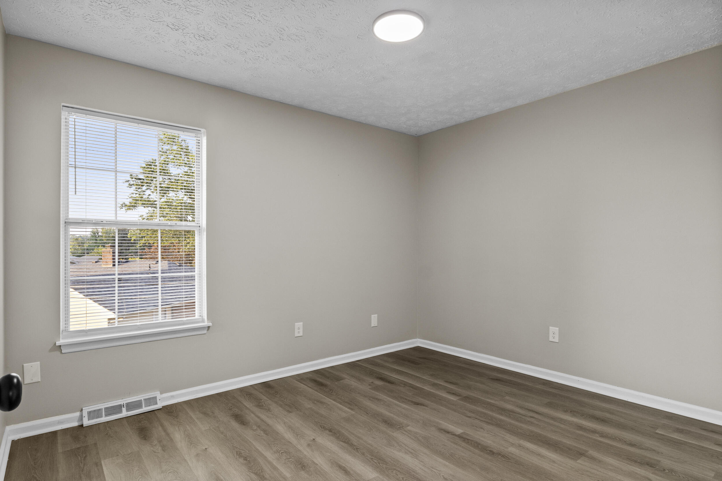 364 Chamberlain Drive Property Photo 14