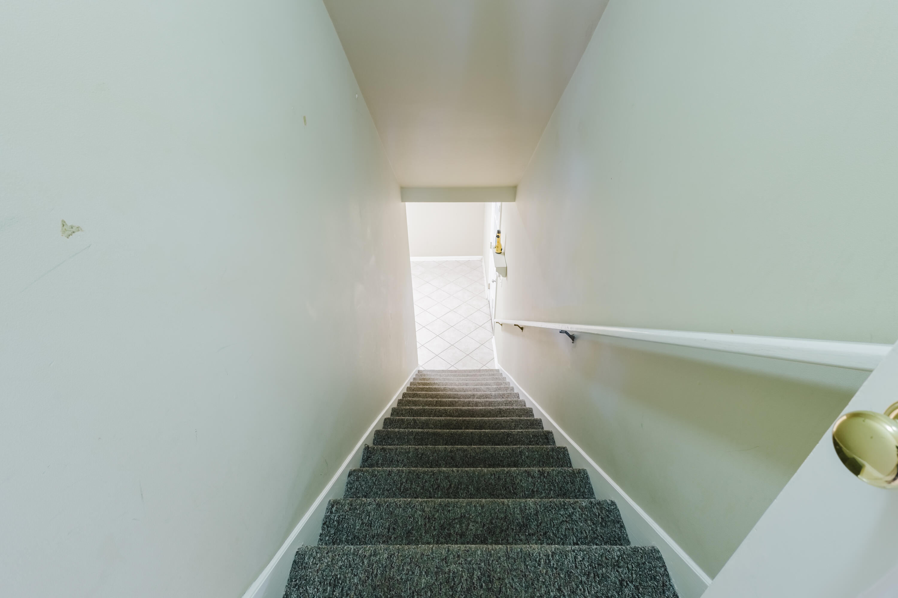 1105 Fogg Pike Property Photo 66