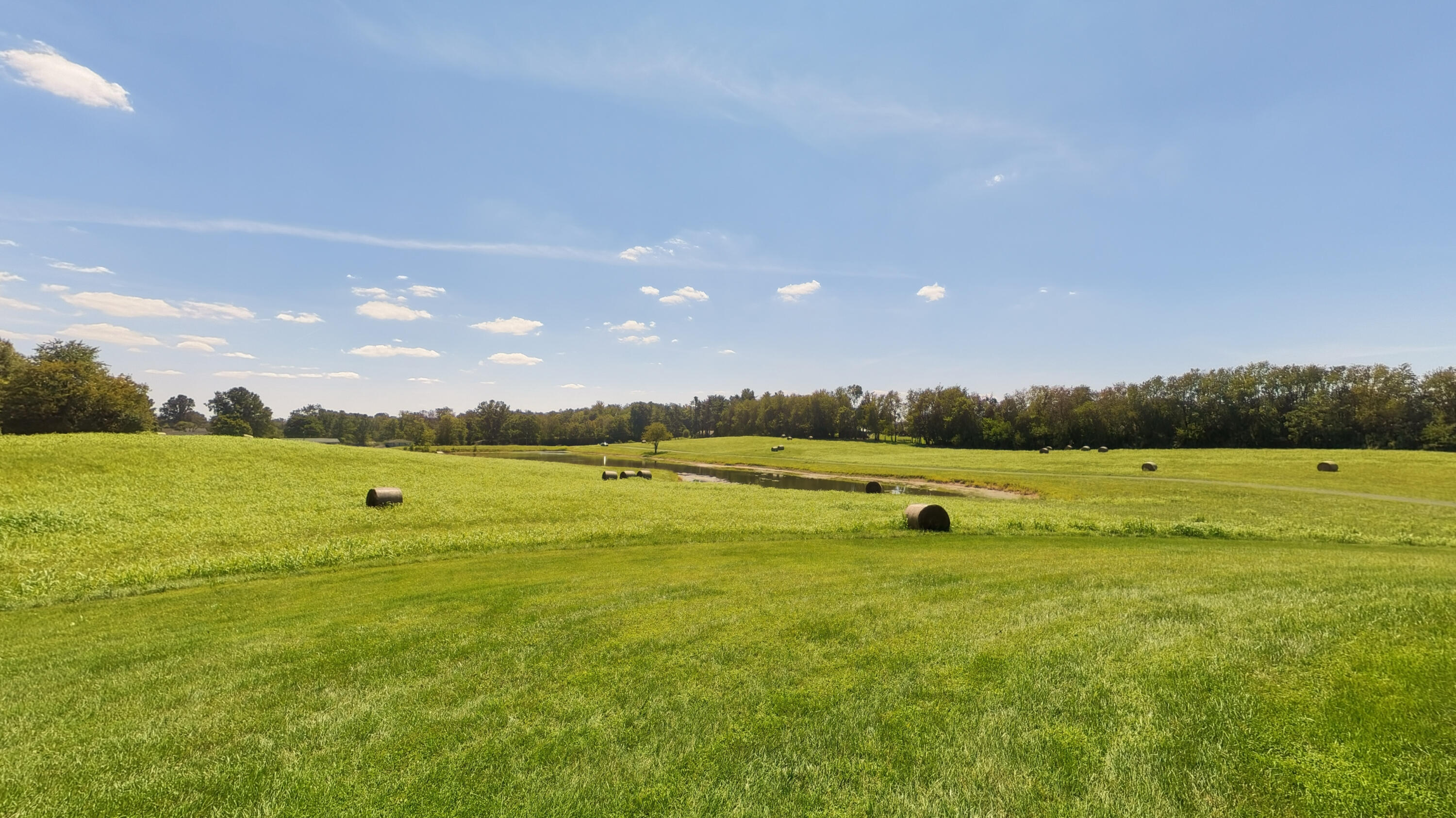 1105 Fogg Pike Property Photo 99