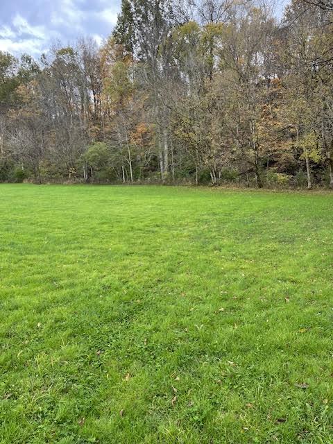 2849 Howards Mill Road Property Photo 20