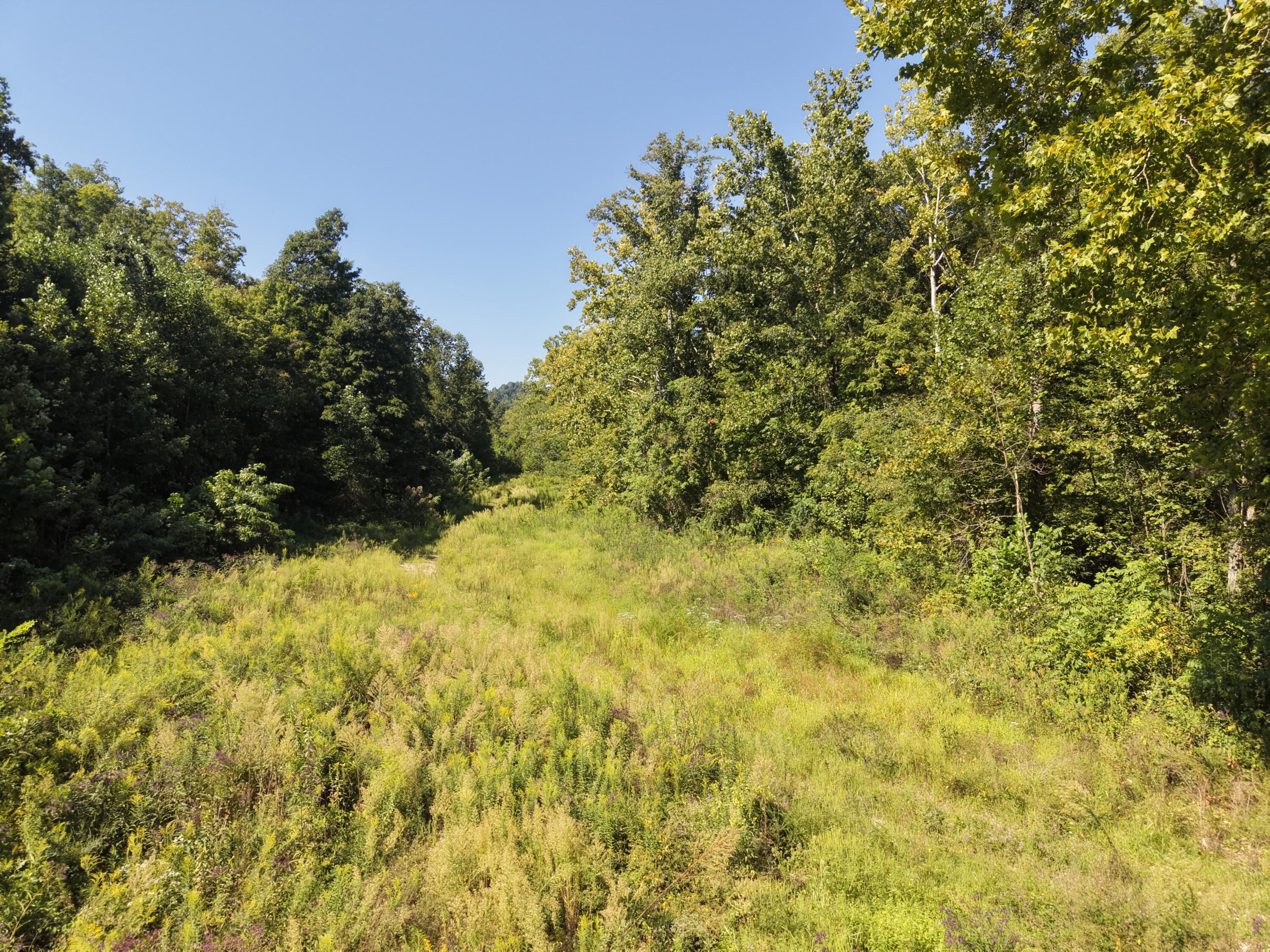 5409 5409 State Highway 599 Property Photo 21