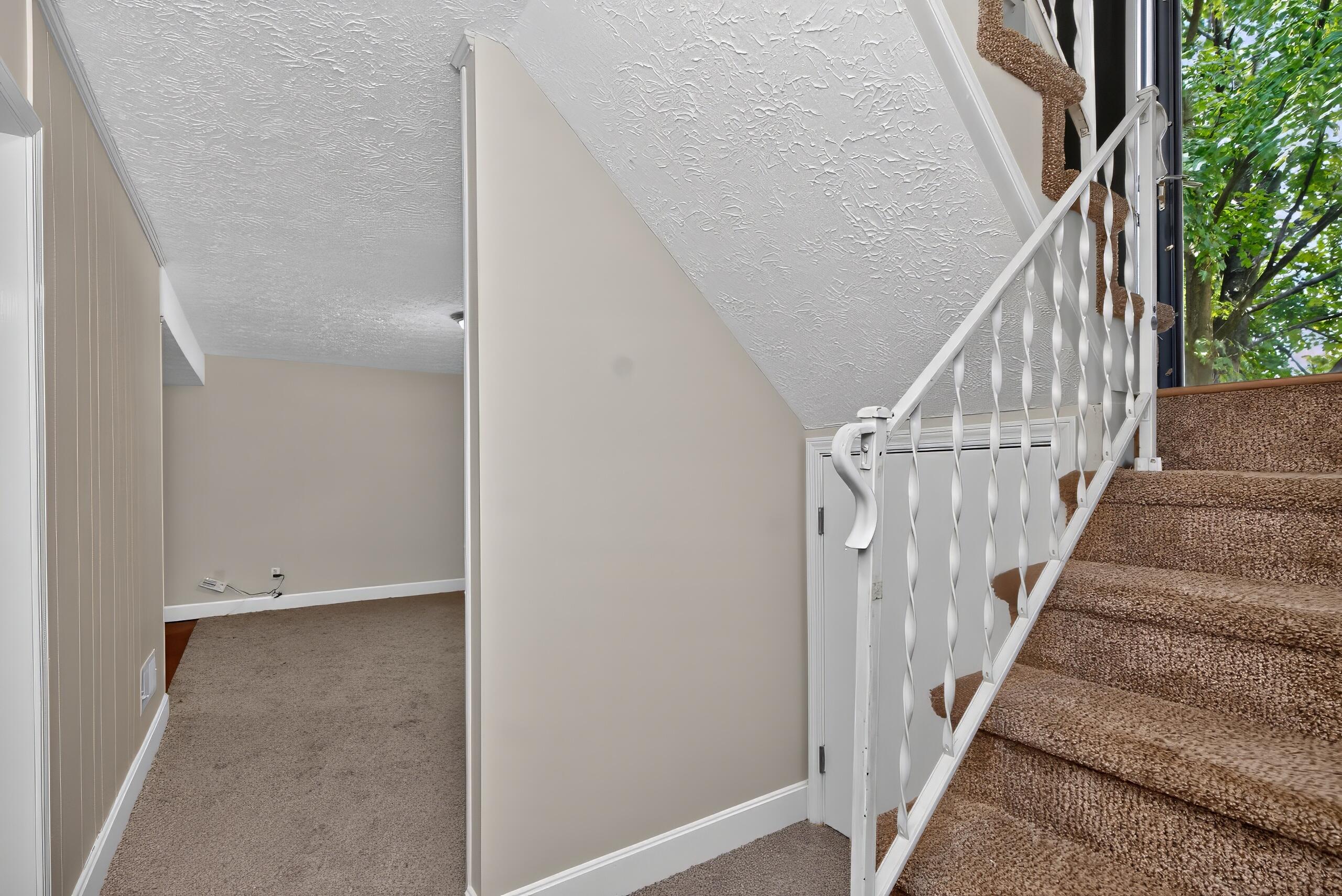 4013 Elora Lane Property Photo 14