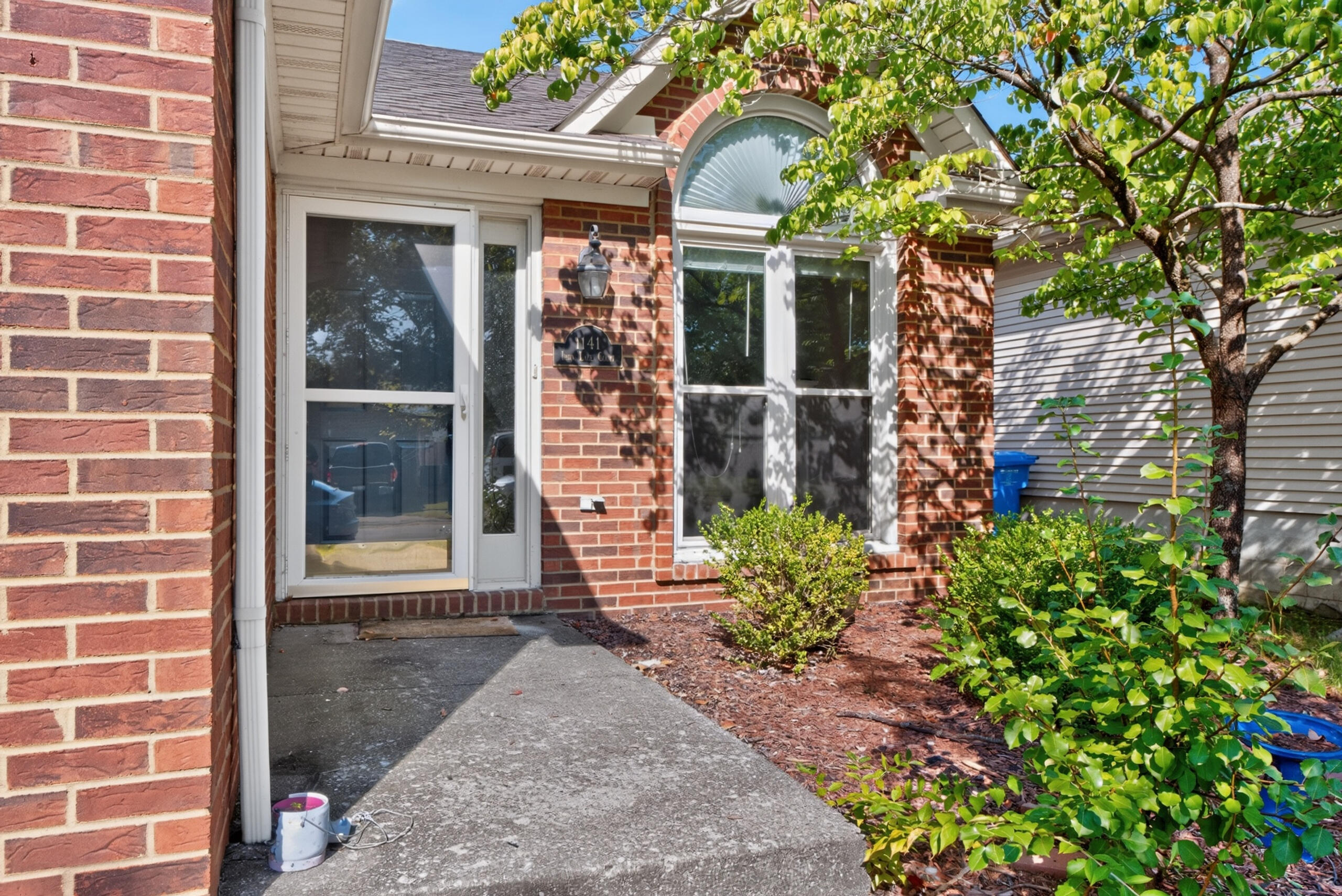 1141 Iron Lace Court Property Photo 3