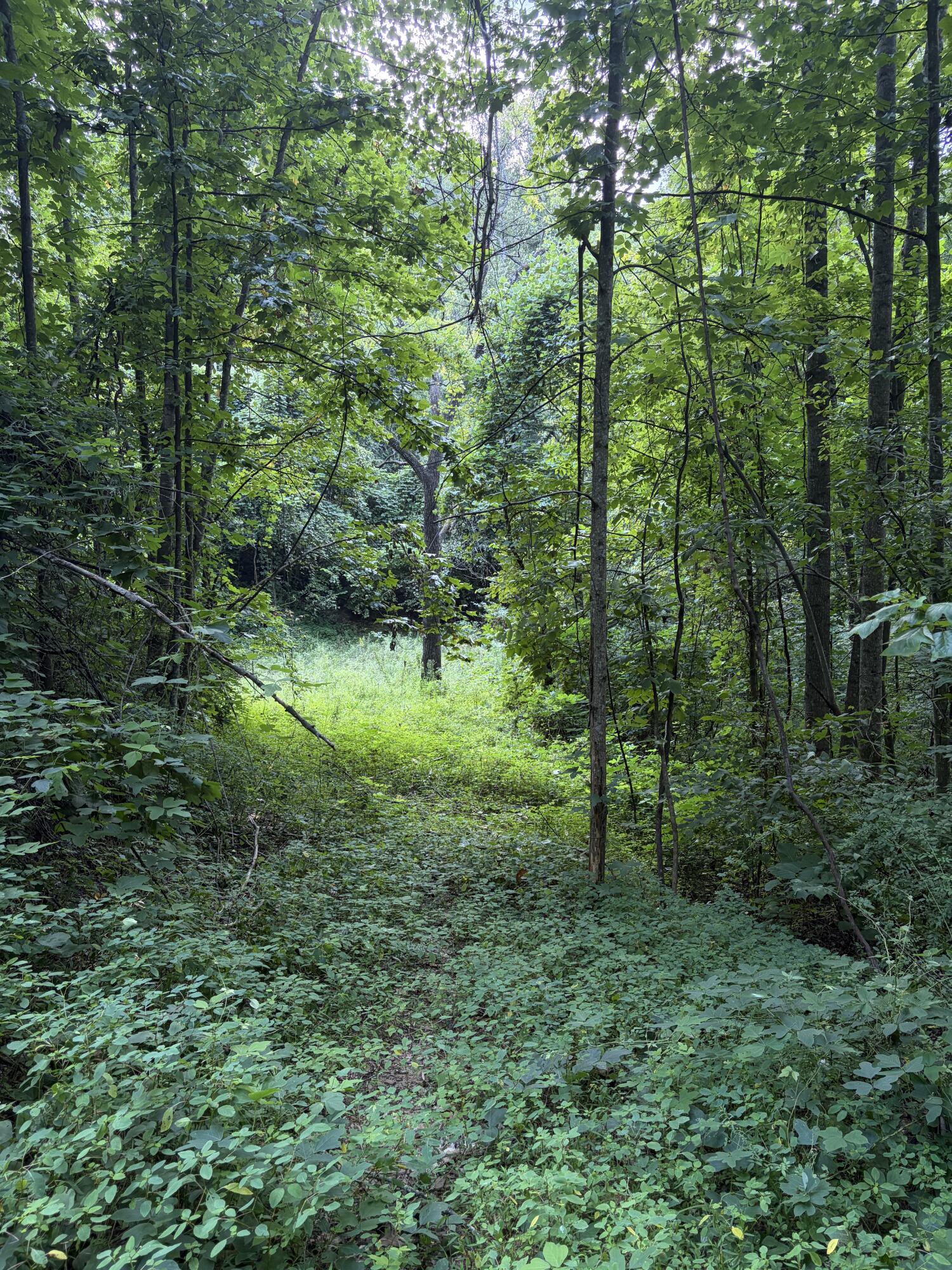 3044 Kentucky 1812 Property Photo 13