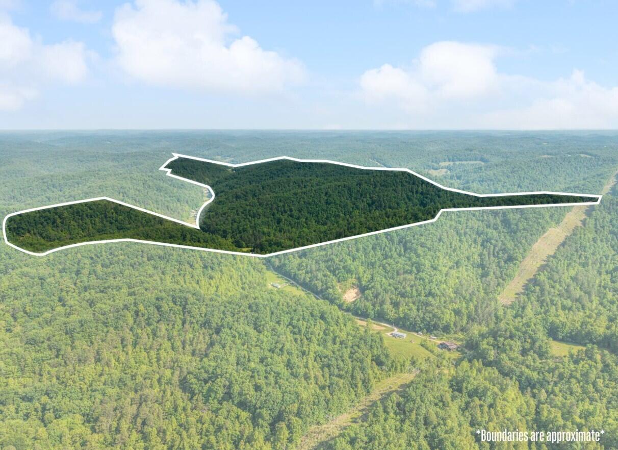 1068 Stingy Fork Rd Road Property Photo 2