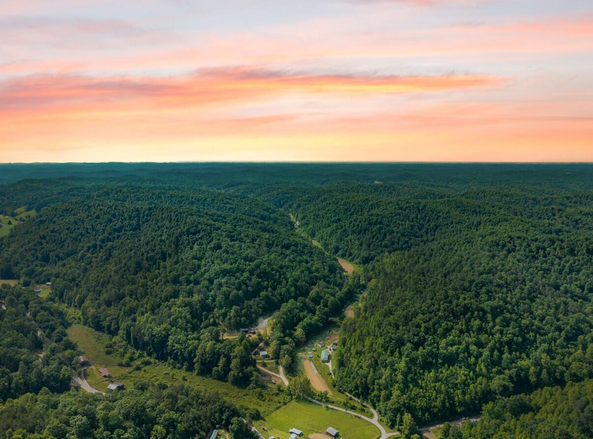 1068 Stingy Fork Rd Road Property Photo 3