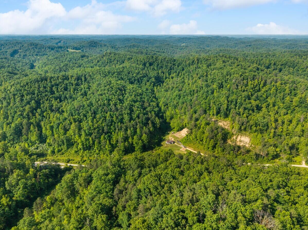 1068 Stingy Fork Rd Road Property Photo 5