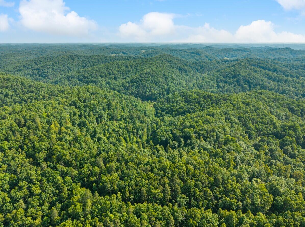 1068 Stingy Fork Rd Road Property Photo 6